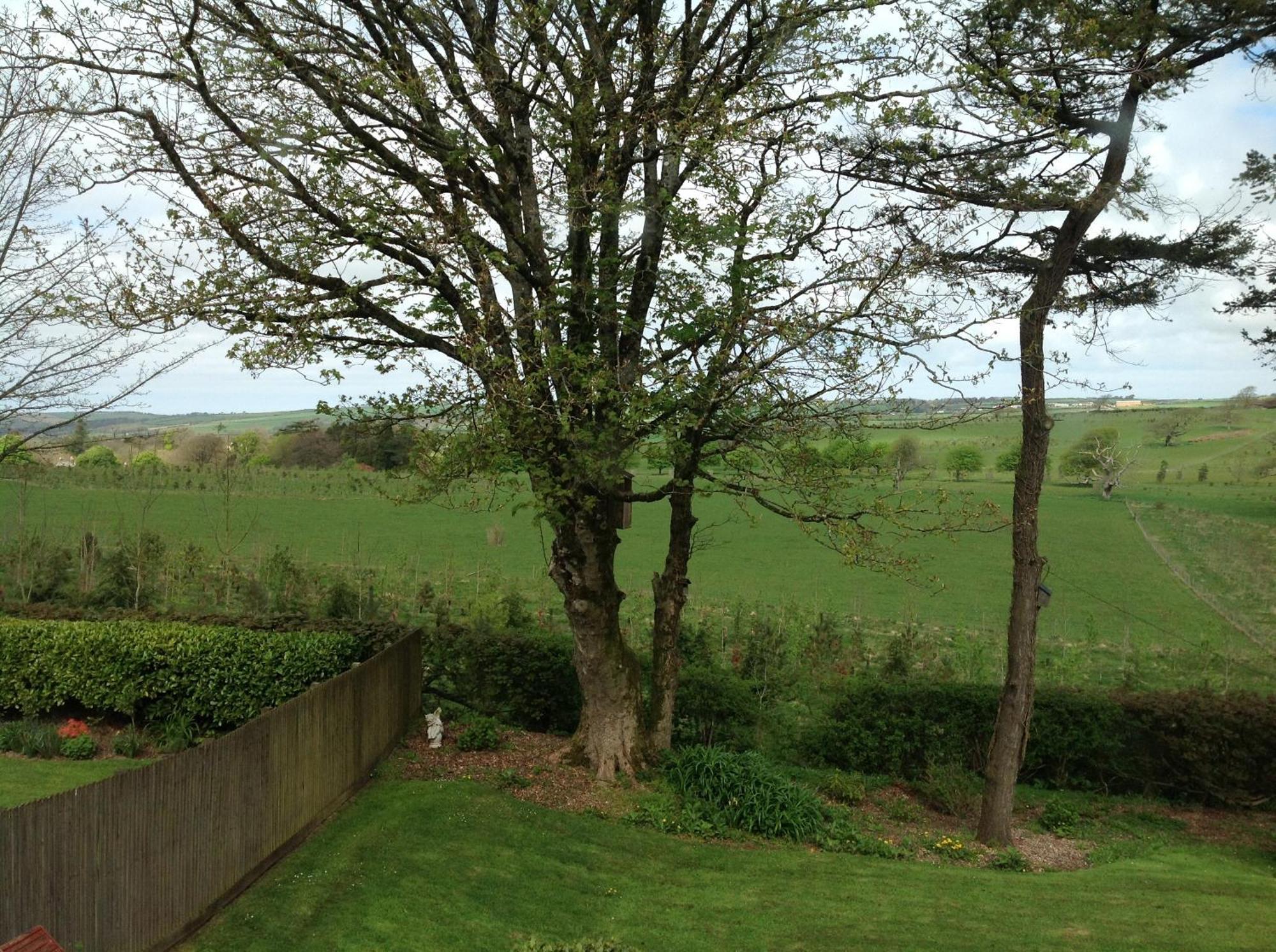 The Spinney Barnstaple Værelse billede