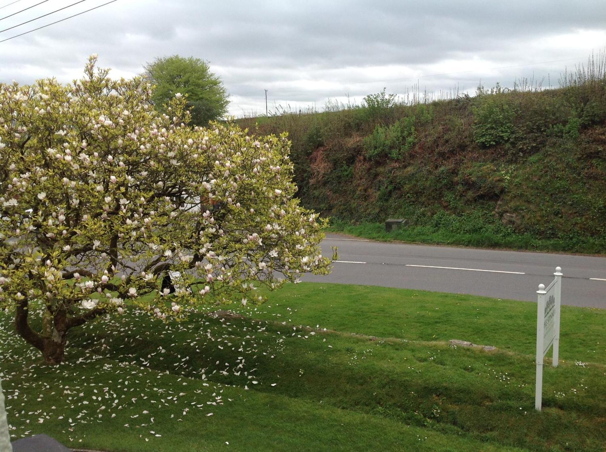 The Spinney Barnstaple Værelse billede
